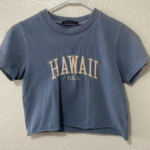Brandy Melville Hawaii USA Blue Crop Top